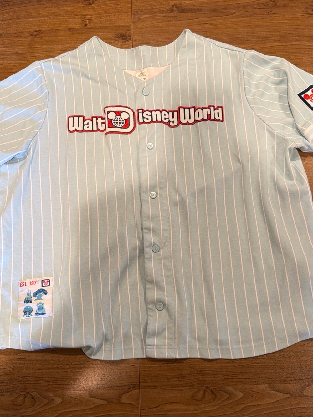 3XL Walt Disney World 4 Icons Most Magical Place on Earth EST 71 Baseball Jersey